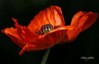 /album/fotogaleria/img-9325-masolata-jpg/